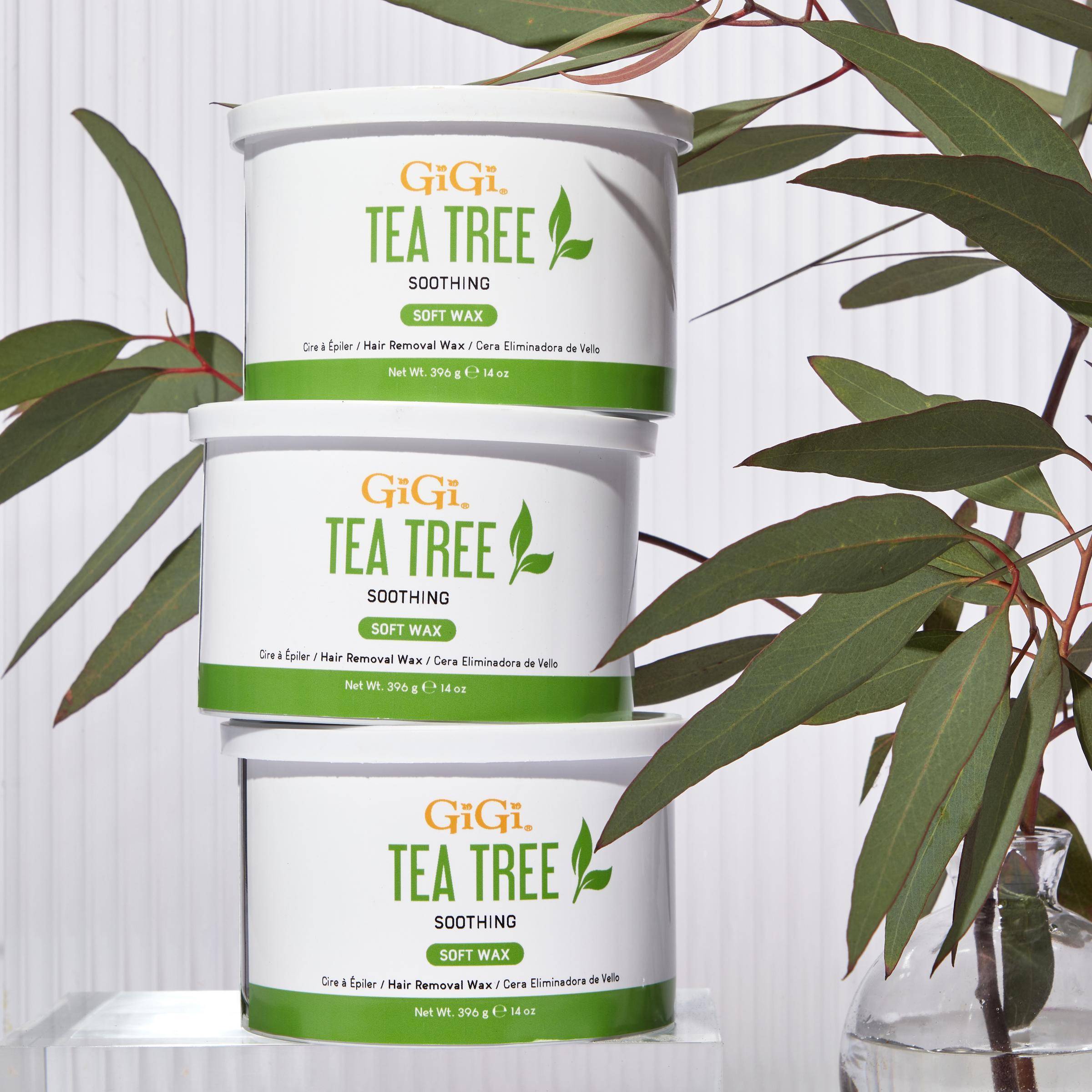 A stack of three GiGi Tea Tree Soothing Soft Wax cans next to eucalyptus leaves.
